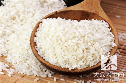 常吃大米助减肥