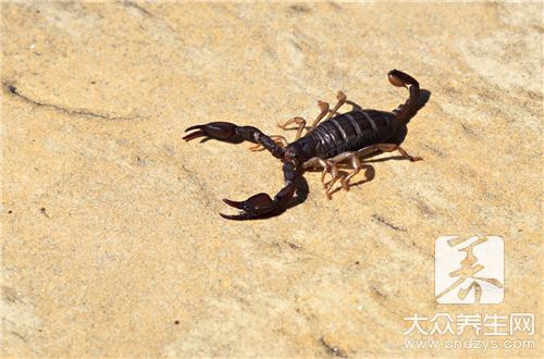 黑色的蝎子有哪些生活习性