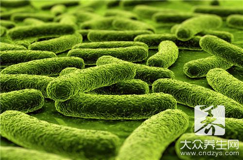 溶血性链球菌会导致哪些疾病？