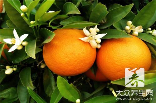 丑柑和丑橘怎么区分