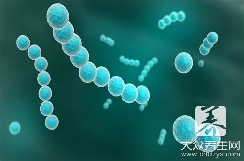 念球菌的致病物质是什么？