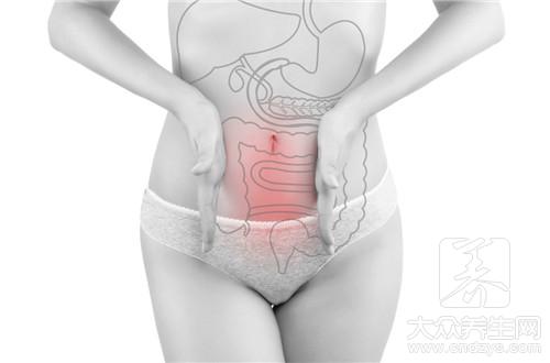 膀胱是什么器官