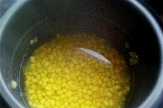 黄豆水浇花稀释多少倍
