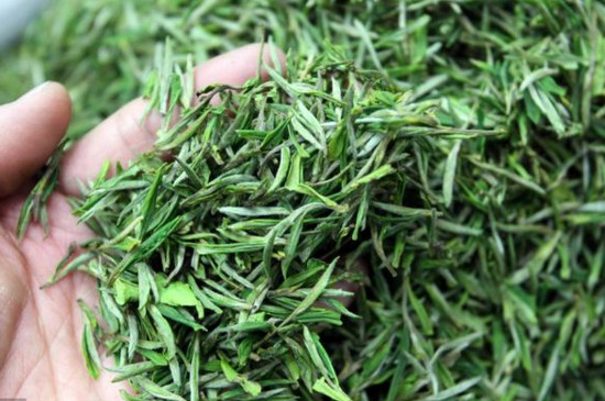 新昌西湖龙井是绿茶吗