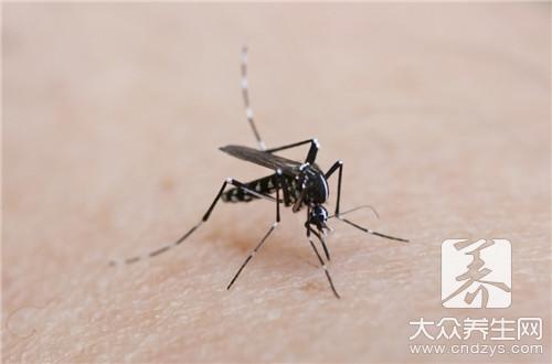 风油精和花露水哪个驱蚊效果好？