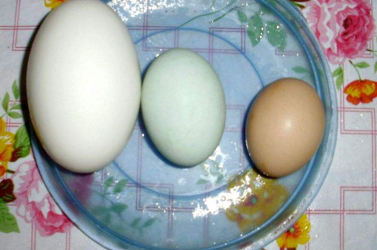 鹅蛋能和鸡蛋一起吃吗
