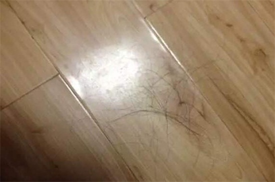 地板上有头发怎么去除