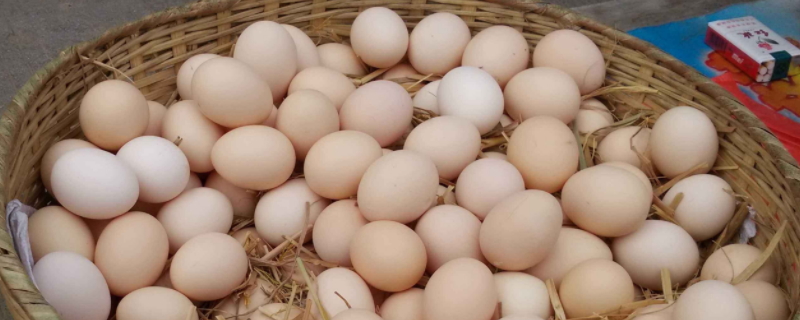 如何检验鸡蛋是否煮熟