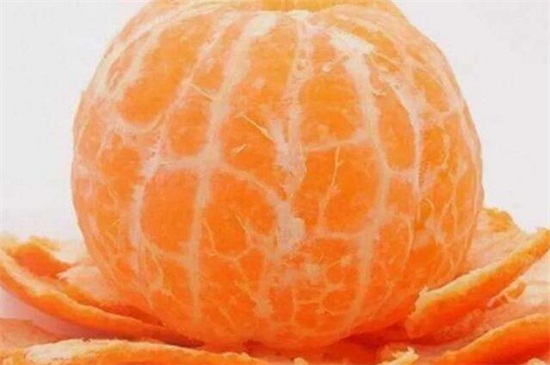 橘子外面的白丝是什么