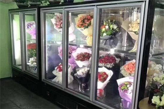 鲜花保鲜柜多少钱