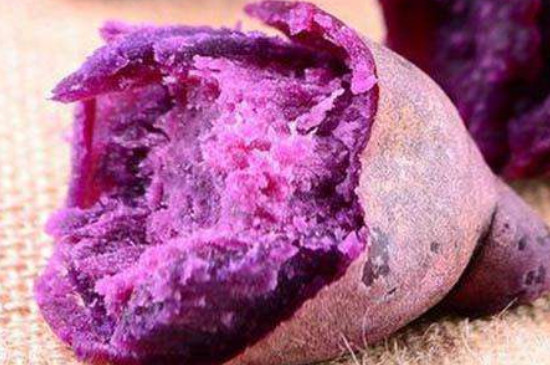 紫薯刚发芽了还能吃吗