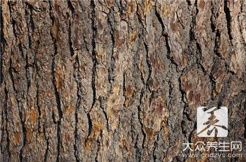 柞树皮功效和作用是什么