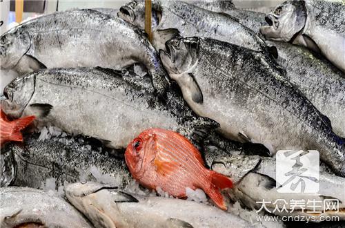 春季养生 吃鱼时需注意的八种禁忌